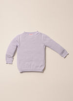 Blusa Tricot Ponto Rendado Sem Costura Pmini