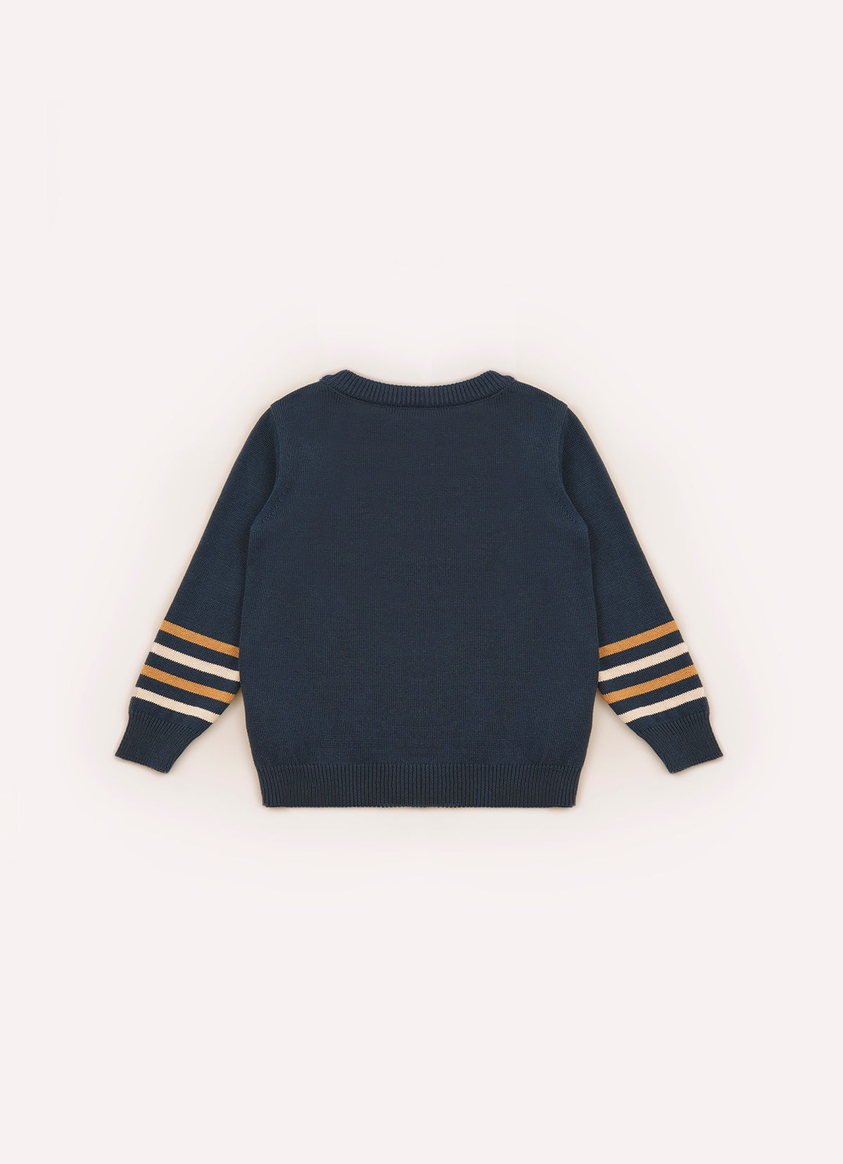 Blusa Tricot Cachorrinho Detalhe Listra For Boys
