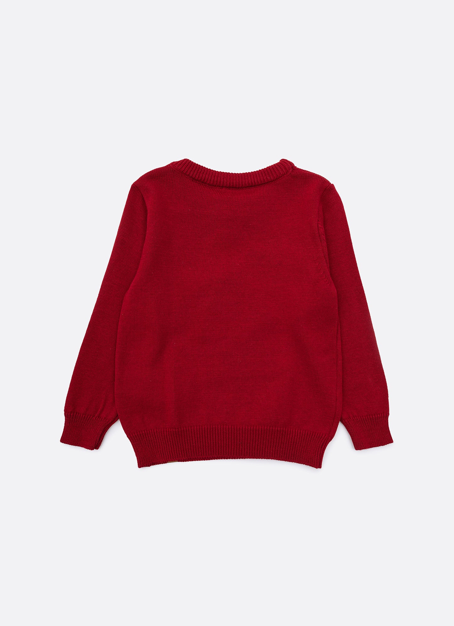 Blusa Tricot Cachorro Coleira For Boys