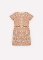 Vestido Paetê