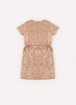 Vestido Paetê