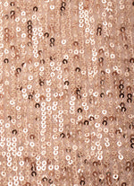 Vestido Paetê