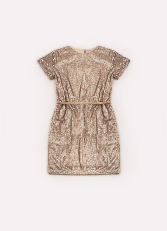 Vestido Paetê Vestido Paetê