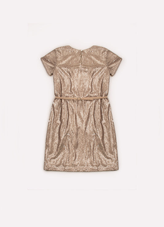 Vestido Paetê
