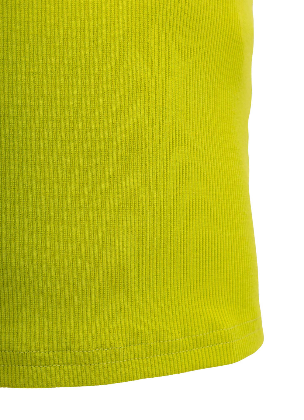 Regata Ribana Logo Pituchinhus