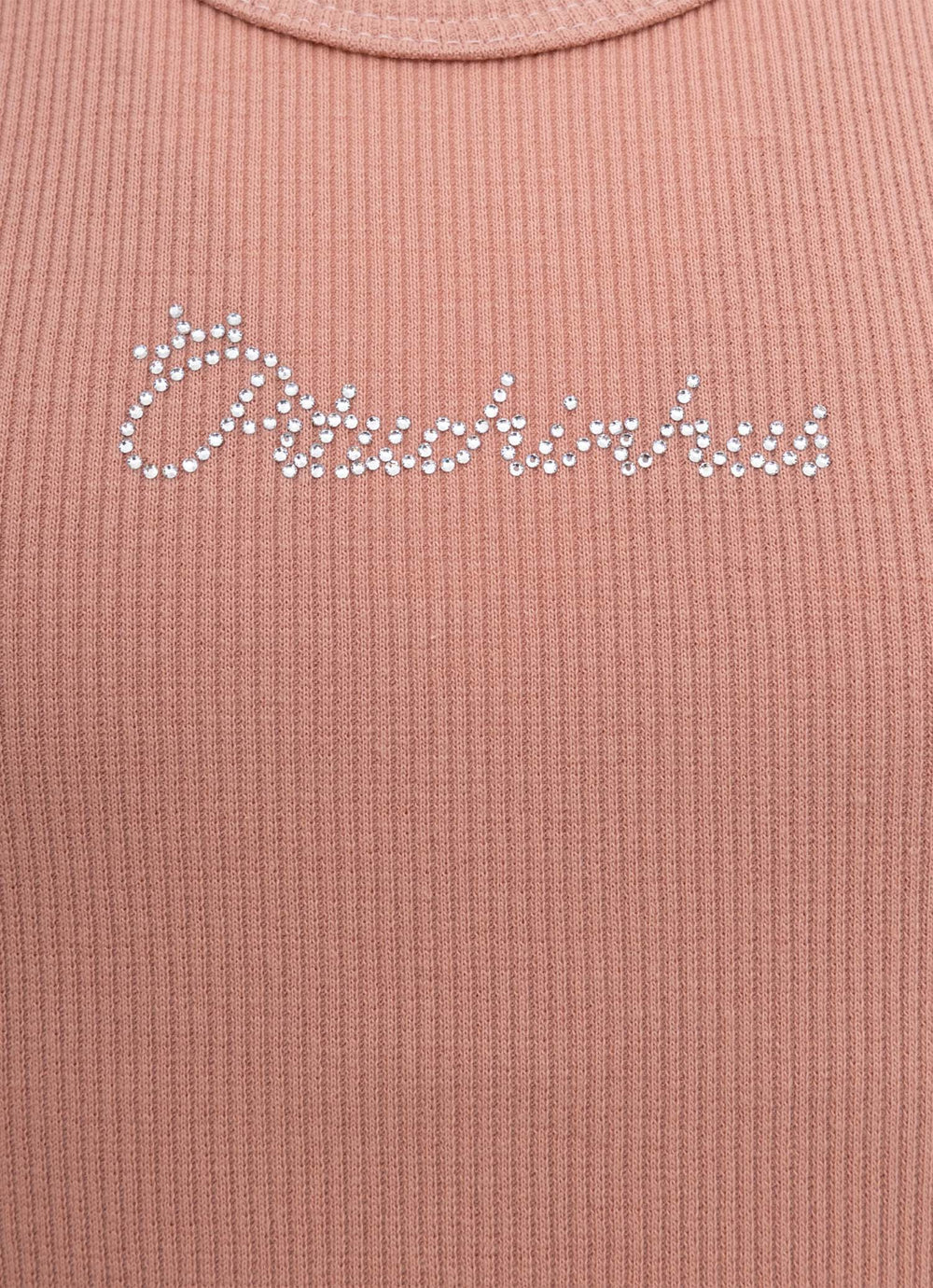 Regata Ribana Logo Pituchinhus