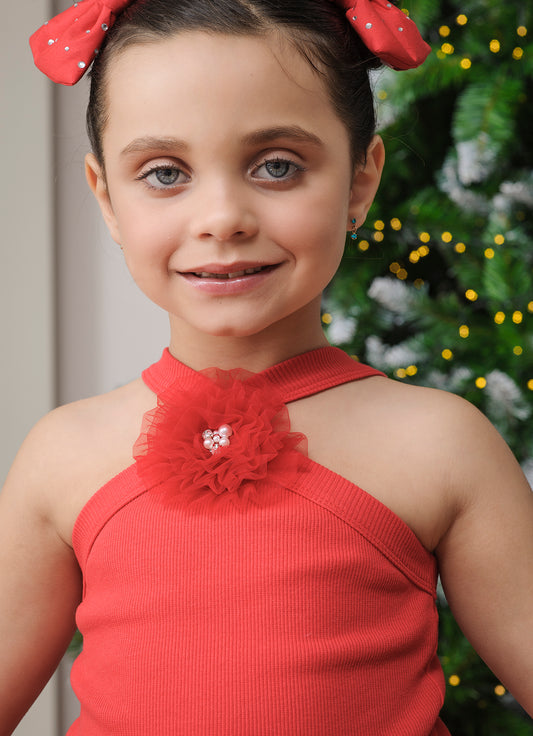 Conjunto Cropped Ribana Flor e Saia Babado Natal