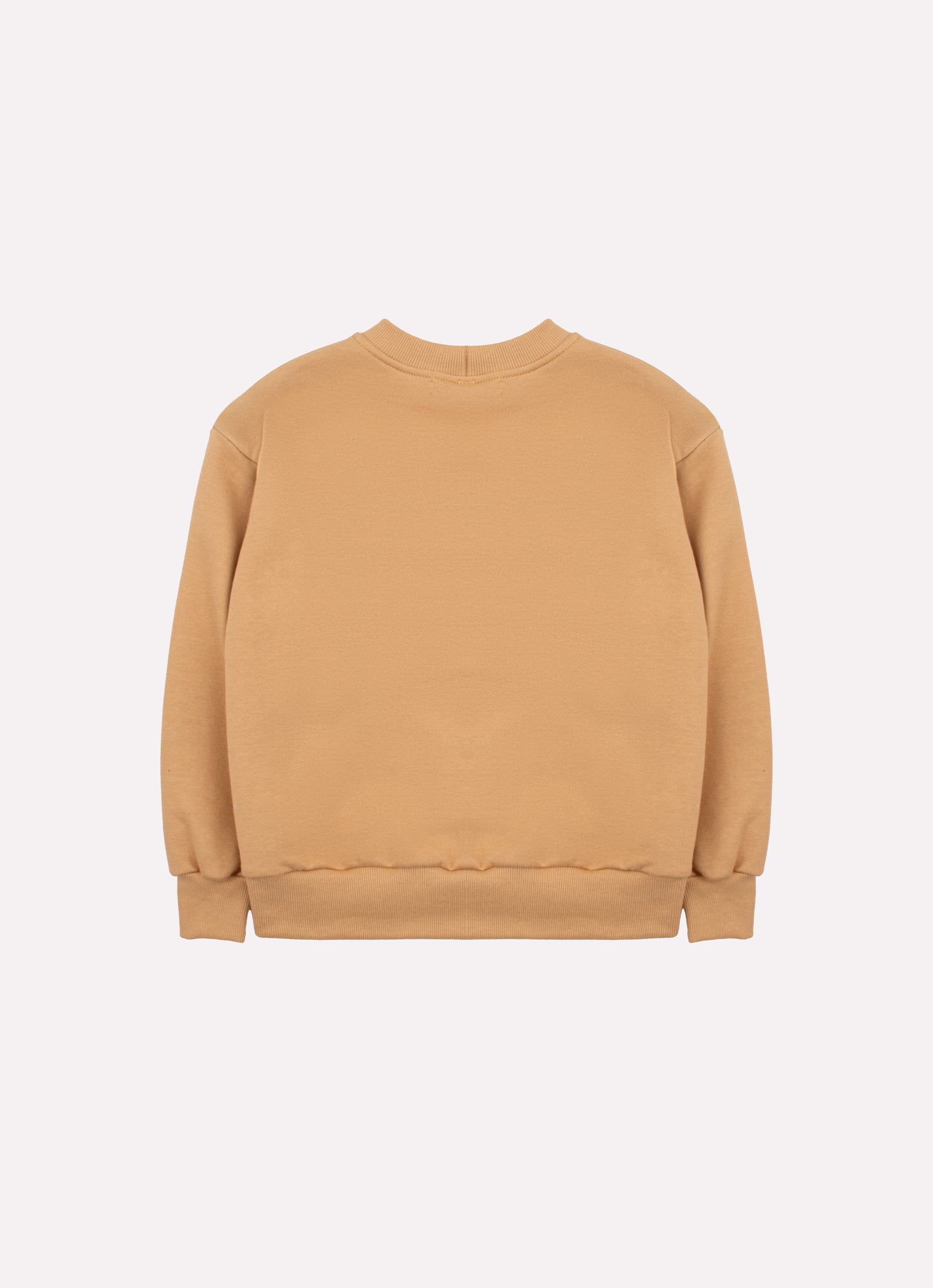 Blusa Moletom Pituchinhus