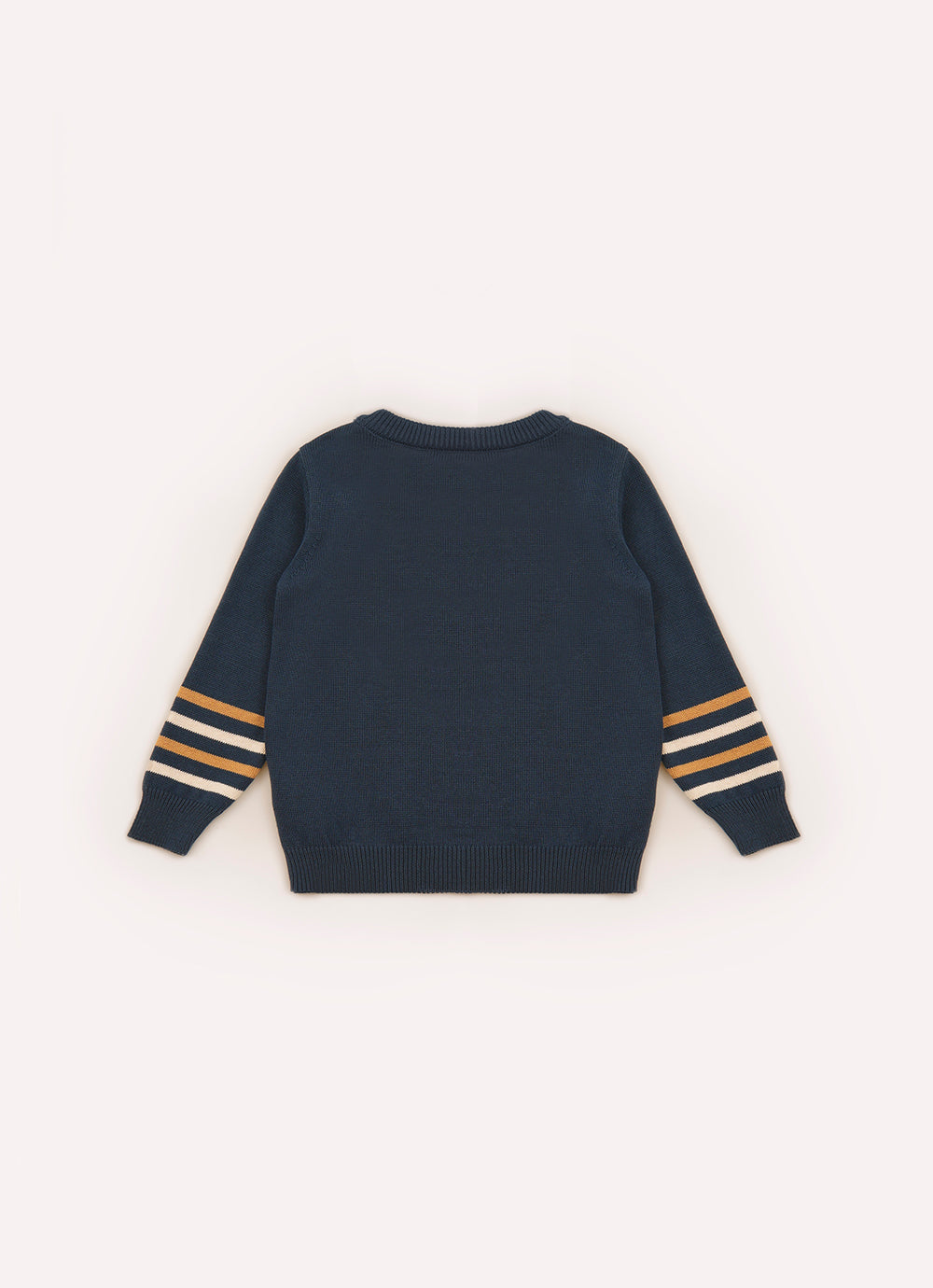 Blusa Tricot Cachorrinho Detalhe Listra For Boys