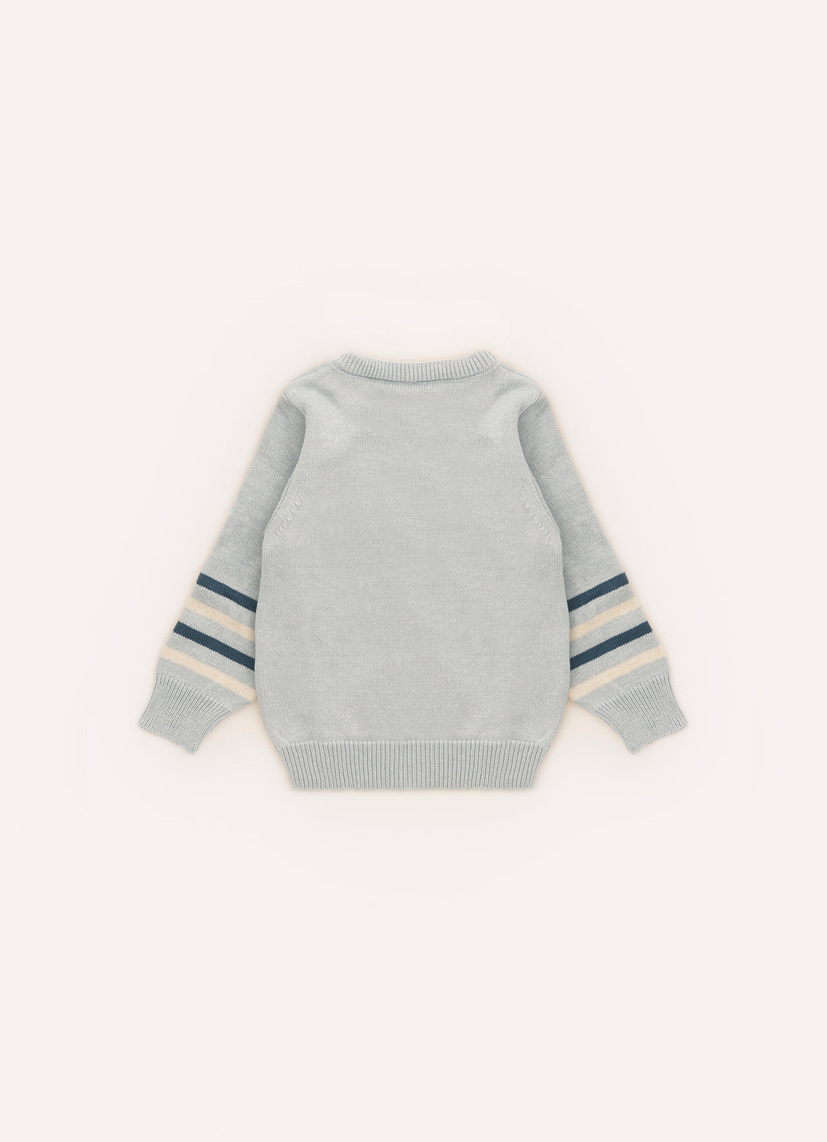 Blusa Tricot Cachorrinho Detalhe Listra For Boys