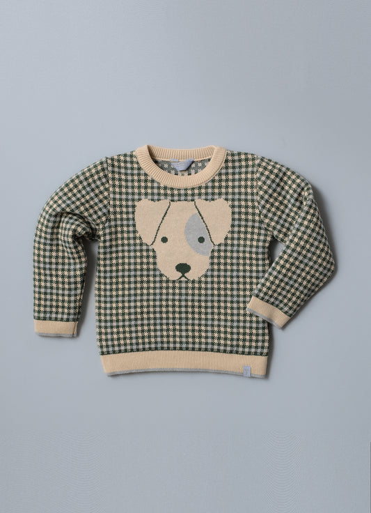 Blusa Tricot Xadrez Jacquard Cachorro For Boys