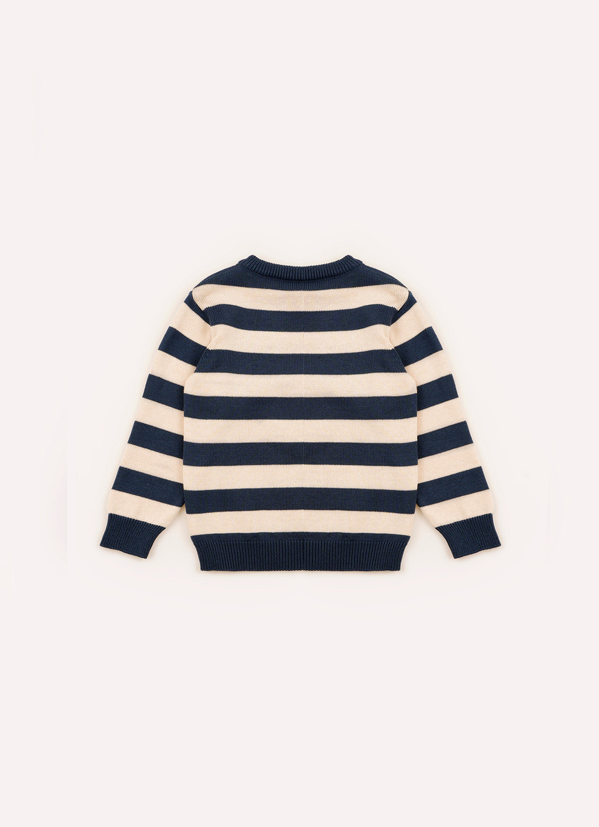 Blusa Tricot Listrada Intarsia Cachorro For Boys
