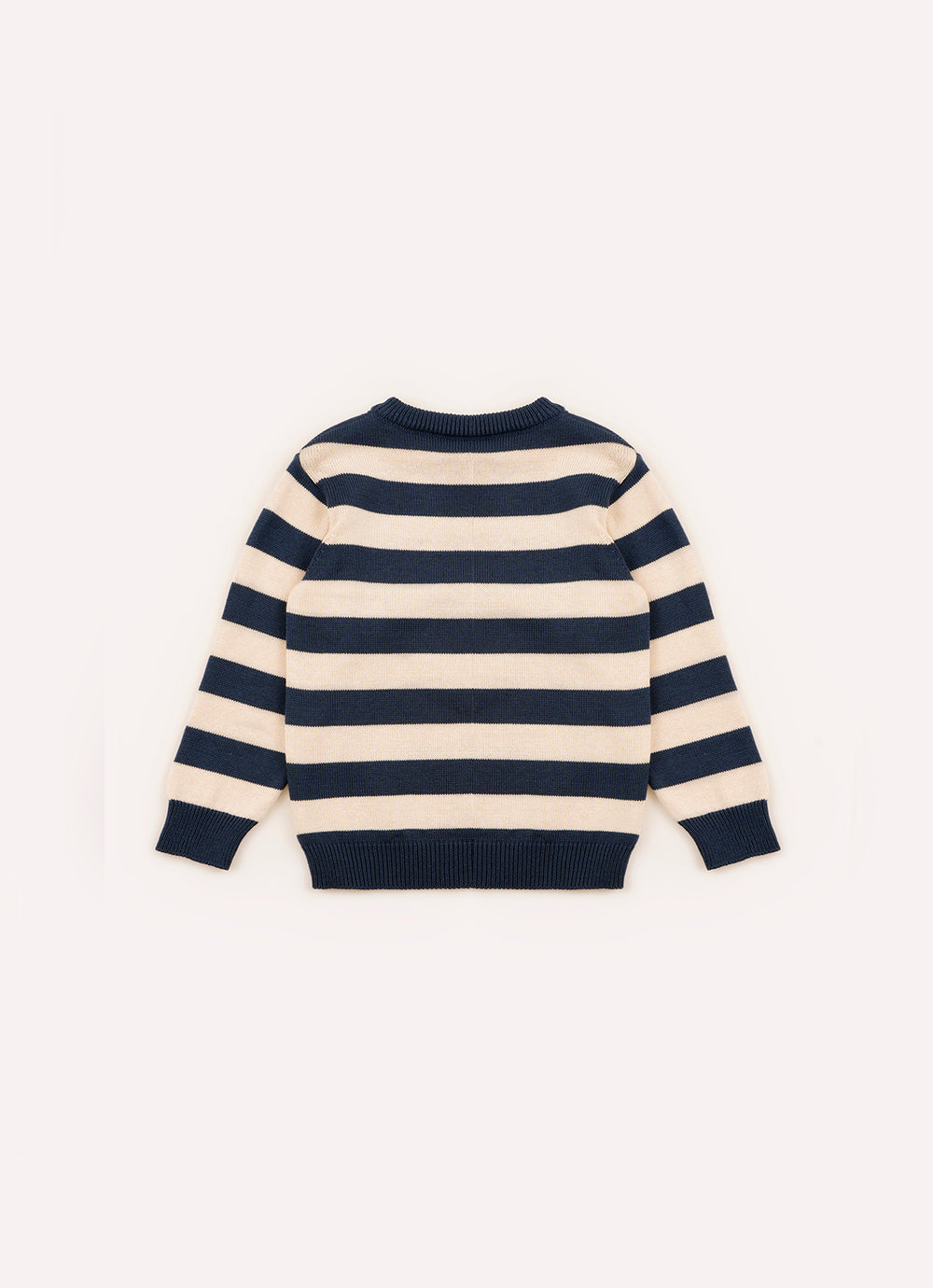 Blusa Tricot Listrada Intarsia Cachorro For Boys
