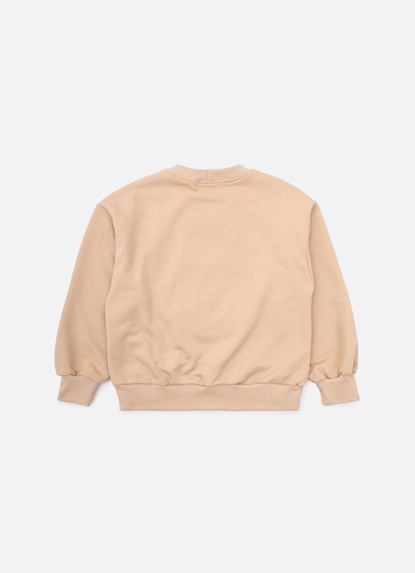 Blusa Moletom Urso Pele Bordados