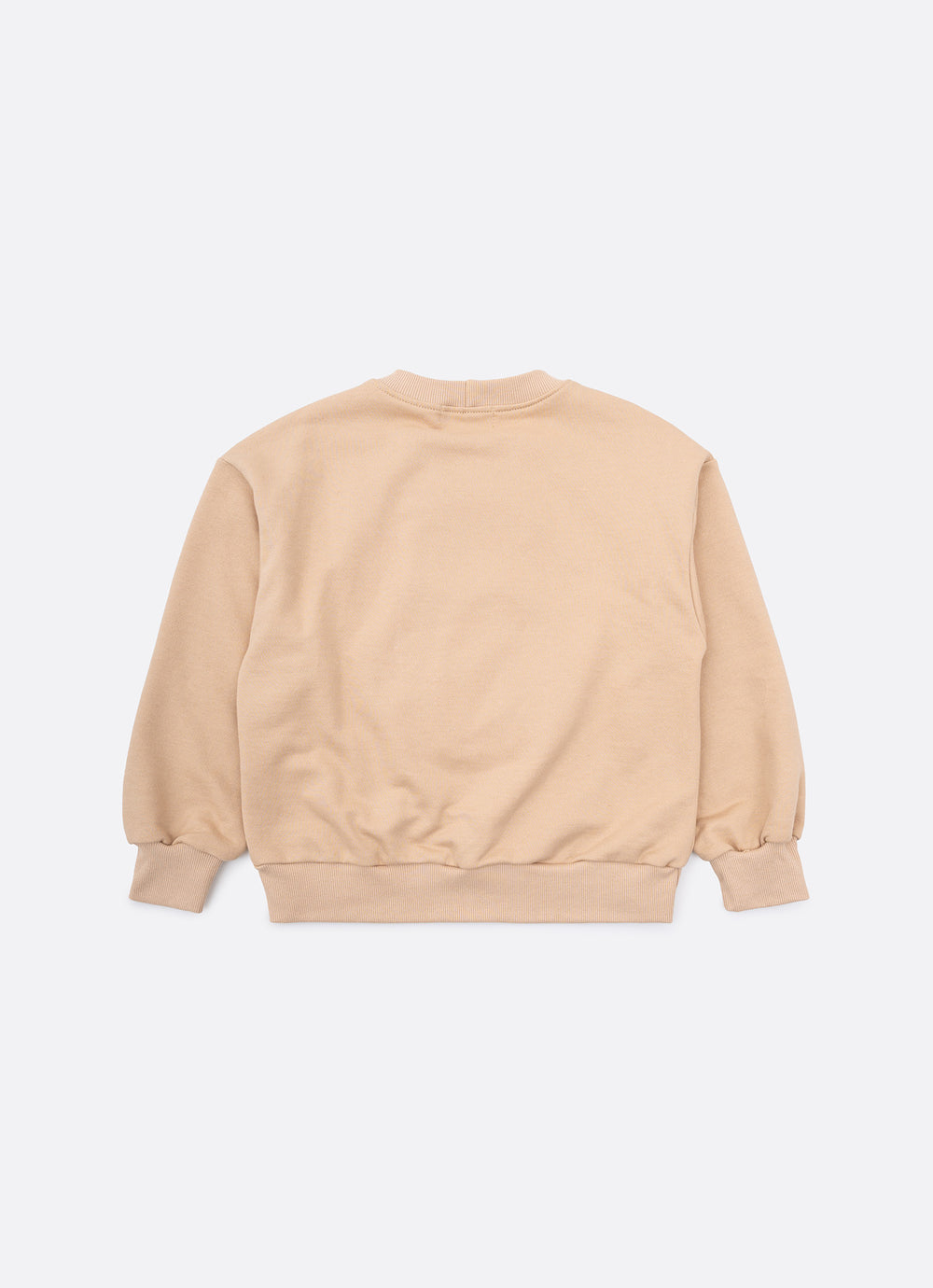 Blusa Moletom Urso Pele Bordados