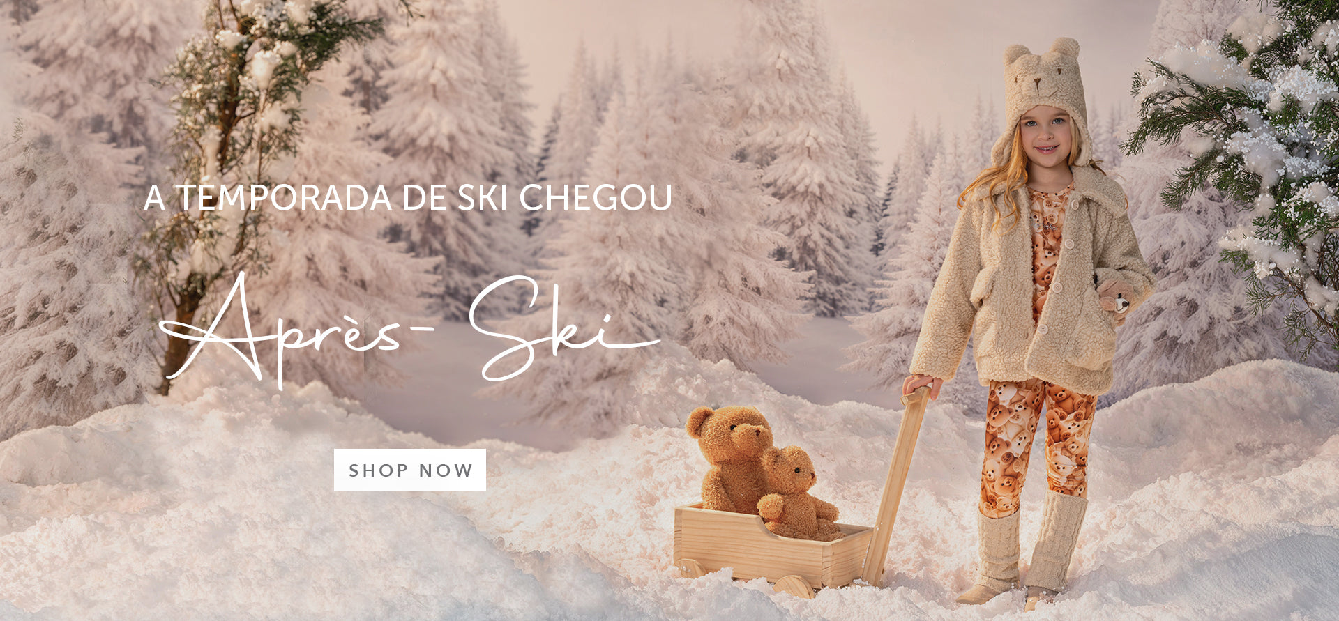  Descrição do banner 