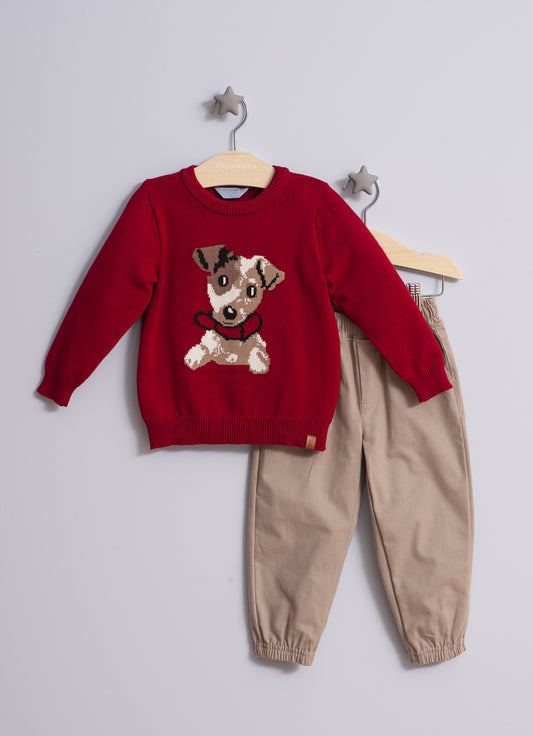 Blusa Tricot Cachorro Coleira For Boys
