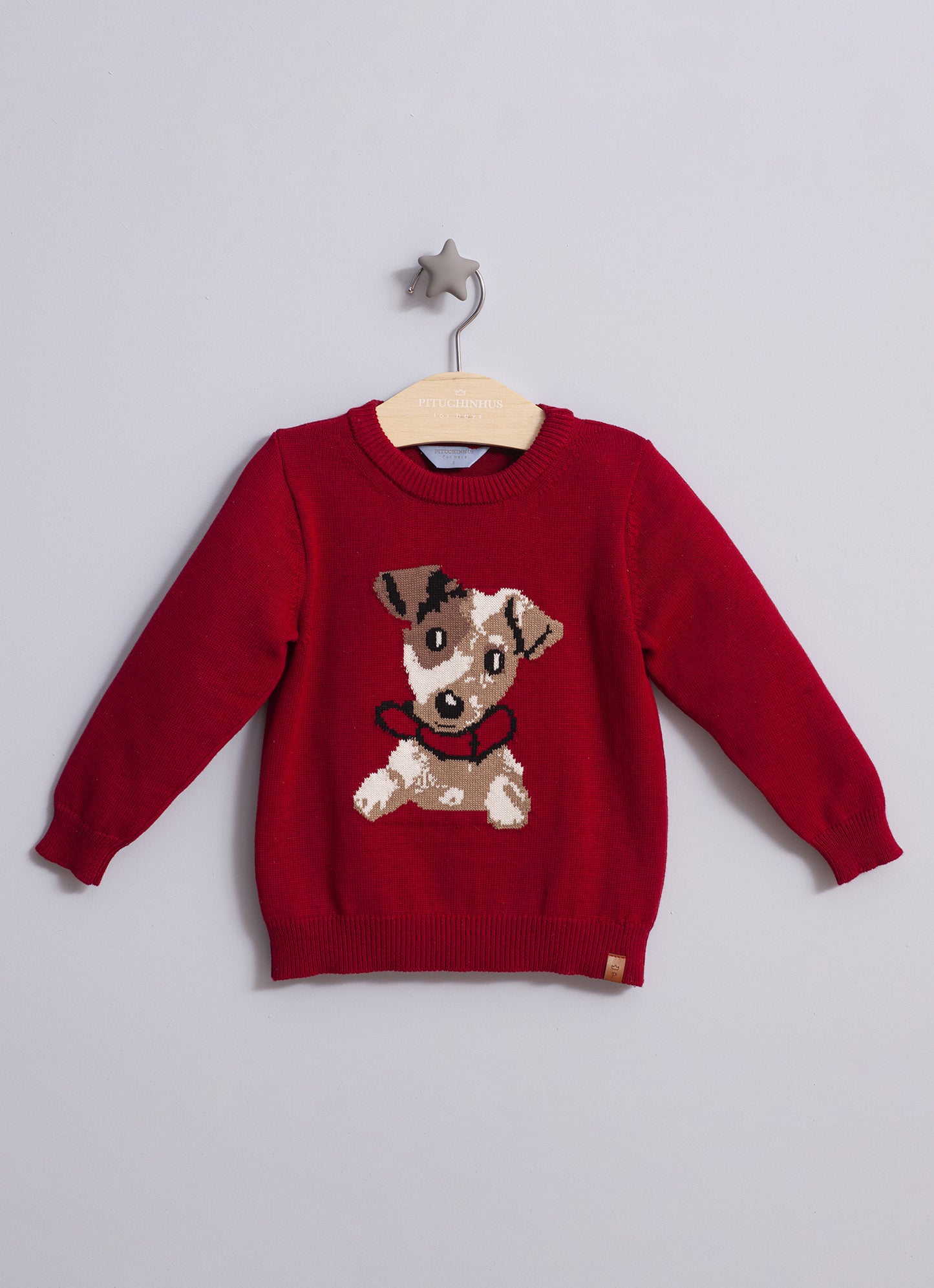 Blusa Tricot Cachorro Coleira For Boys