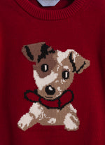 Blusa Tricot Cachorro Coleira For Boys