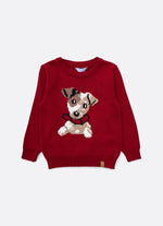 Blusa Tricot Cachorro Coleira For Boys