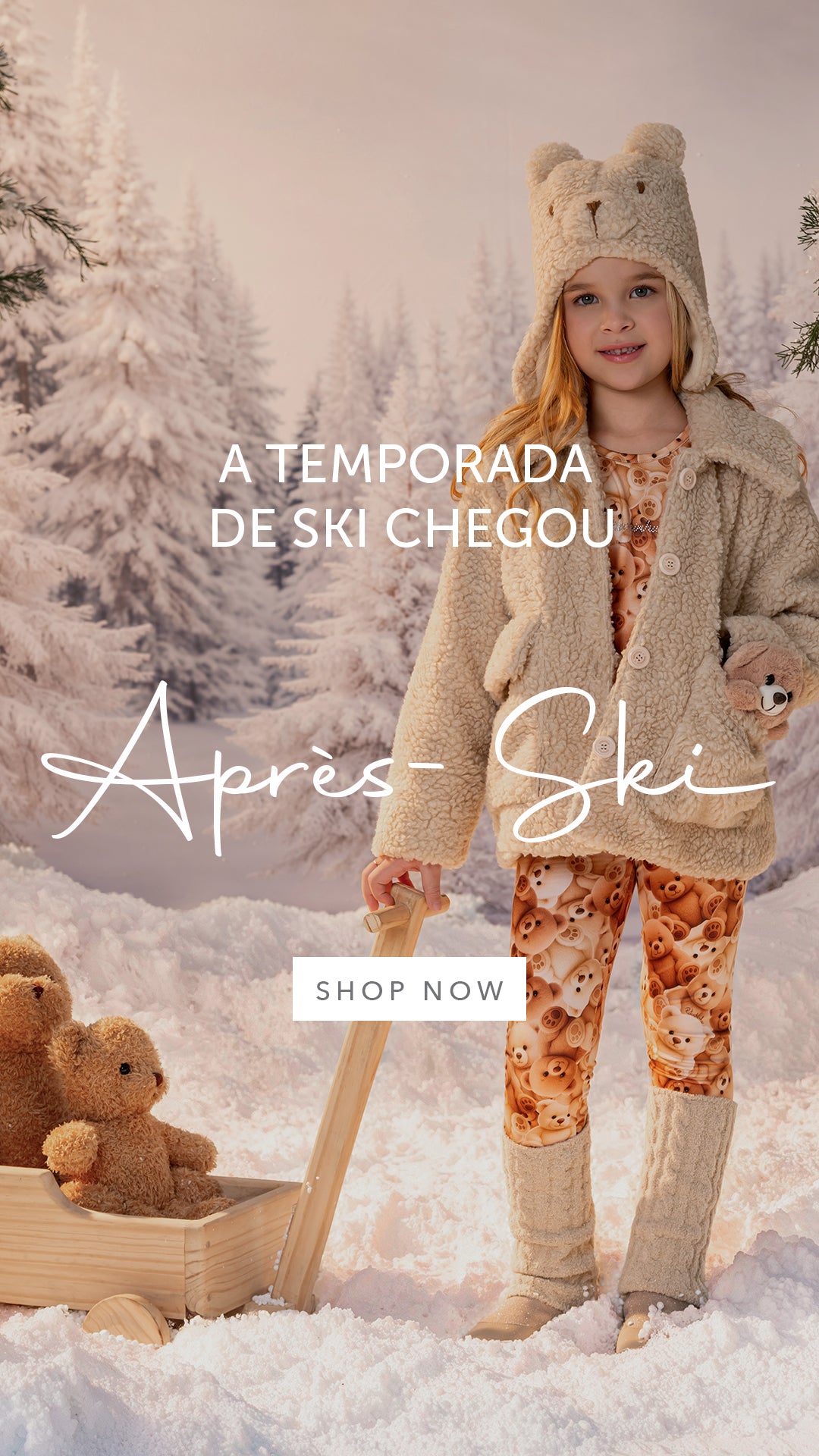  Descrição do banner 