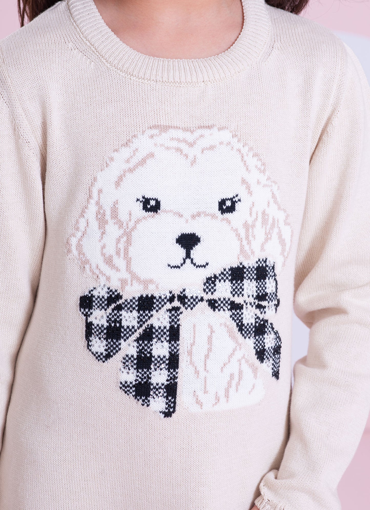 Vestido Tricot Rosto Cachorrinho Cristal