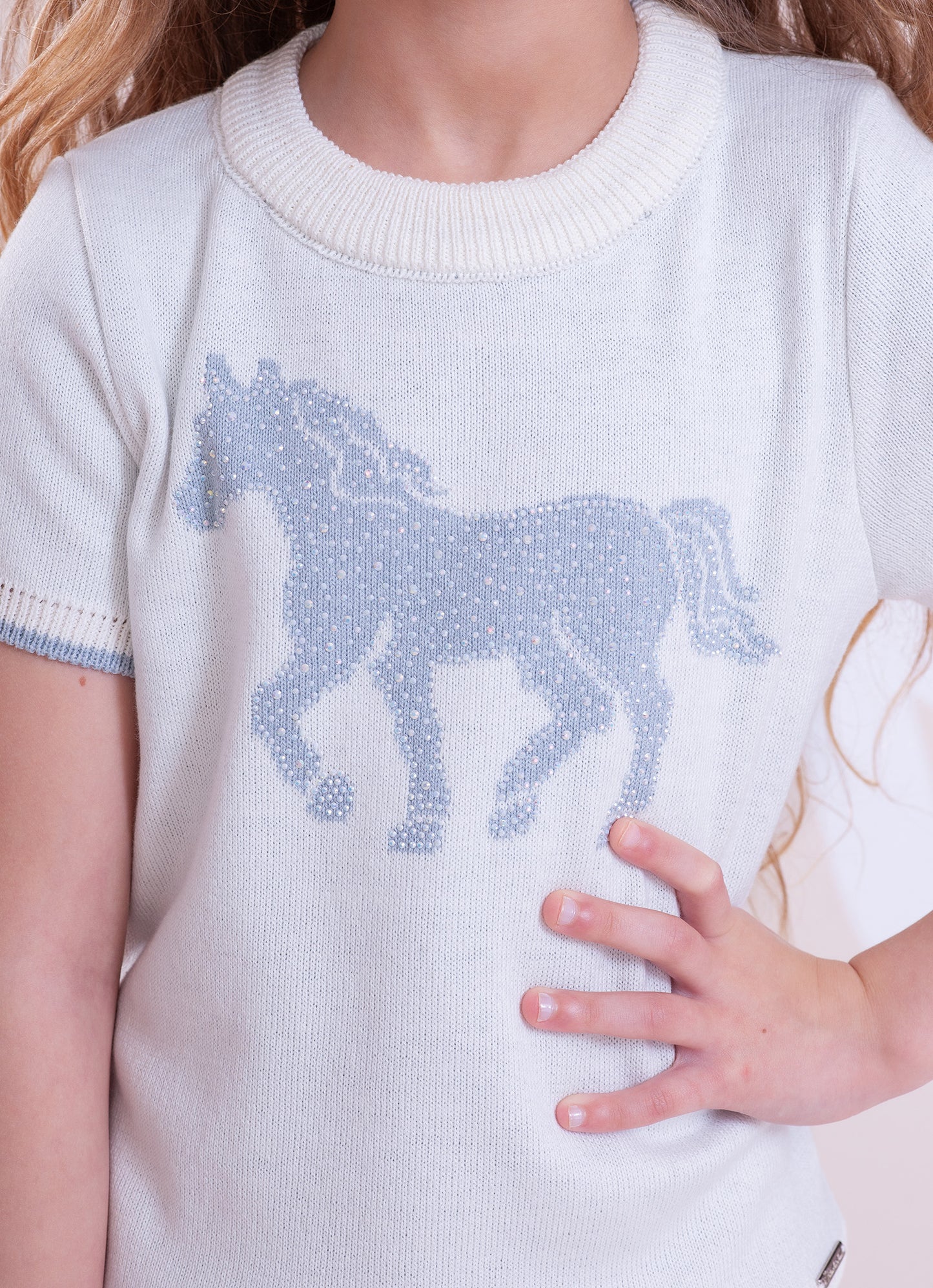 Blusa Tricot Cavalinho Cristal